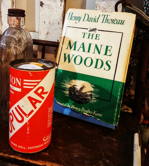 Maine Spring Fun - the Rockland Marketplace