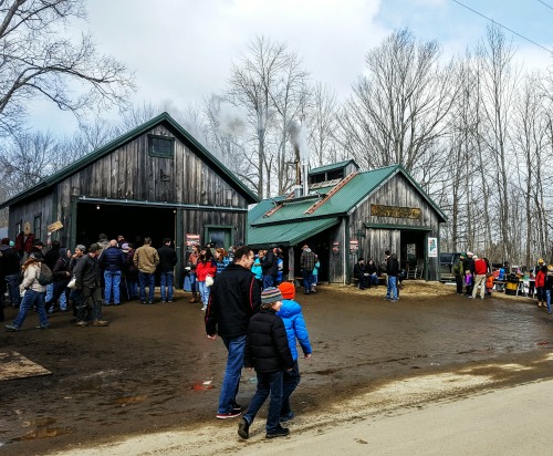 Maine Maple Sunday - Maine Spring Fun